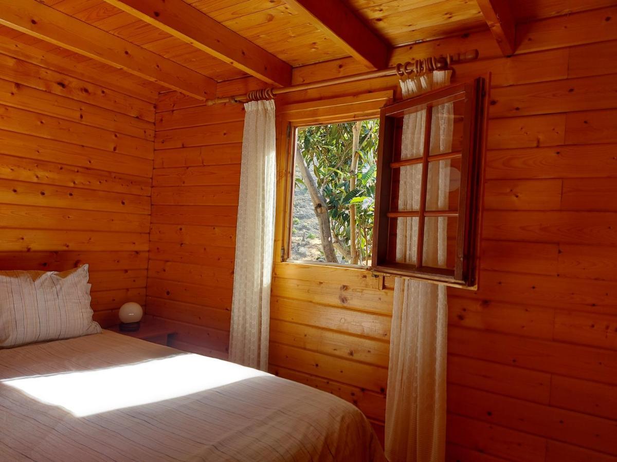 Cabana Los Palmeros, Vista Al Mar Y La Montana Alojera Dış mekan fotoğraf