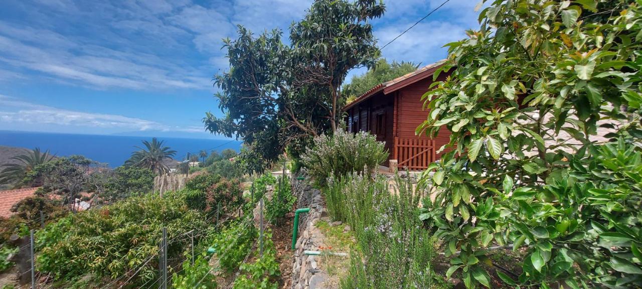 Cabana Los Palmeros, Vista Al Mar Y La Montana Alojera Dış mekan fotoğraf
