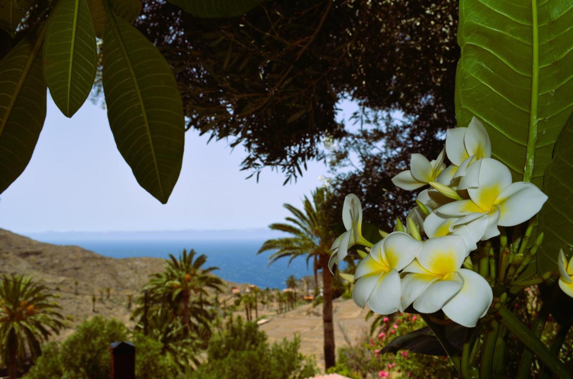 Cabana Los Palmeros, Vista Al Mar Y La Montana Alojera Dış mekan fotoğraf